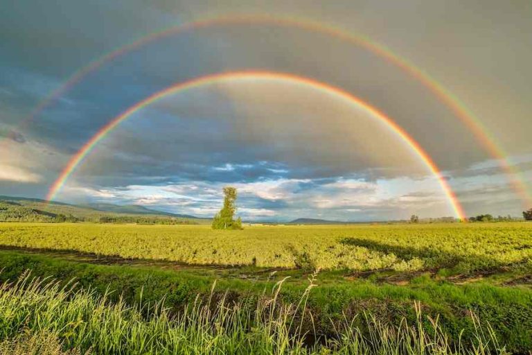 How Rare Is A Double Rainbow